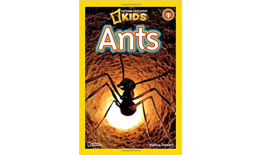 National Geographic Kids Ants