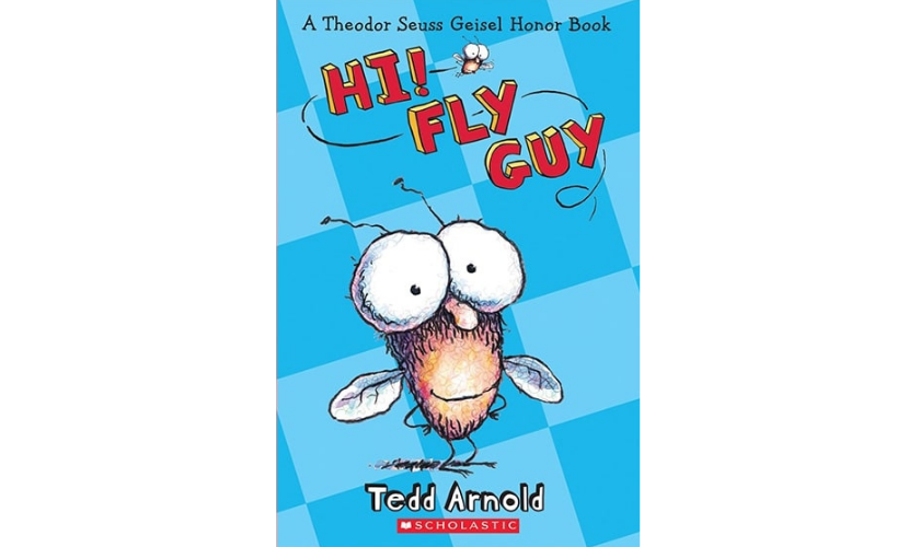 Hi Fly Guy