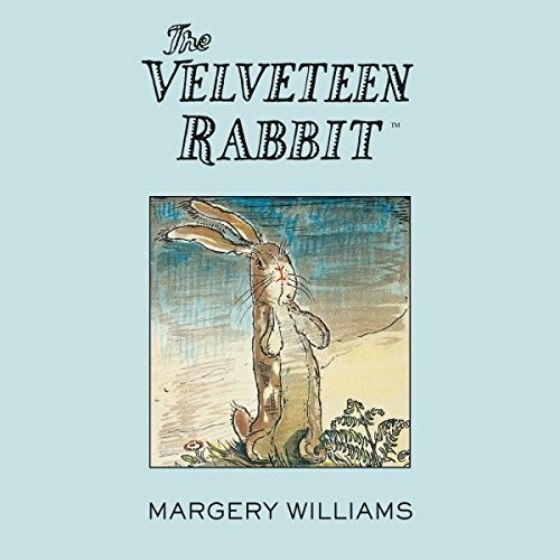 The Velveteen Rabbit